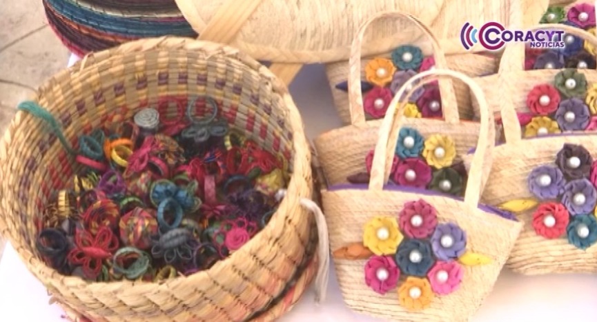 Artesano convierte el tejido de palma en su sustento de vida