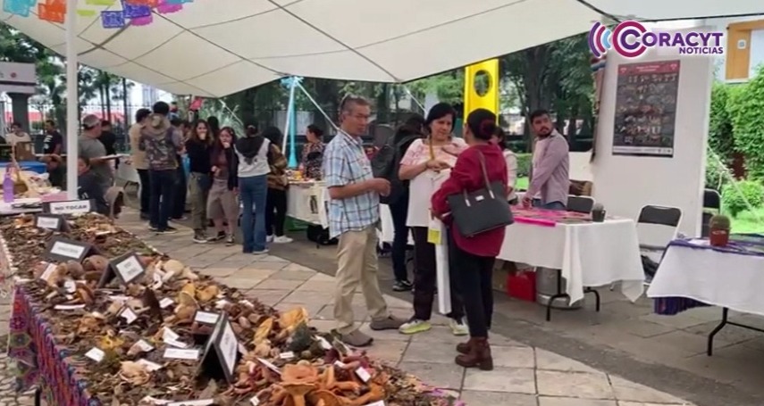 Investigadores reconocen la importancia del conocimiento ancestral en Tlaxcala