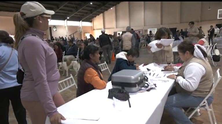 Distribuirán más de 19 mil tarjetas del programa “Mujeres Bienestar” 