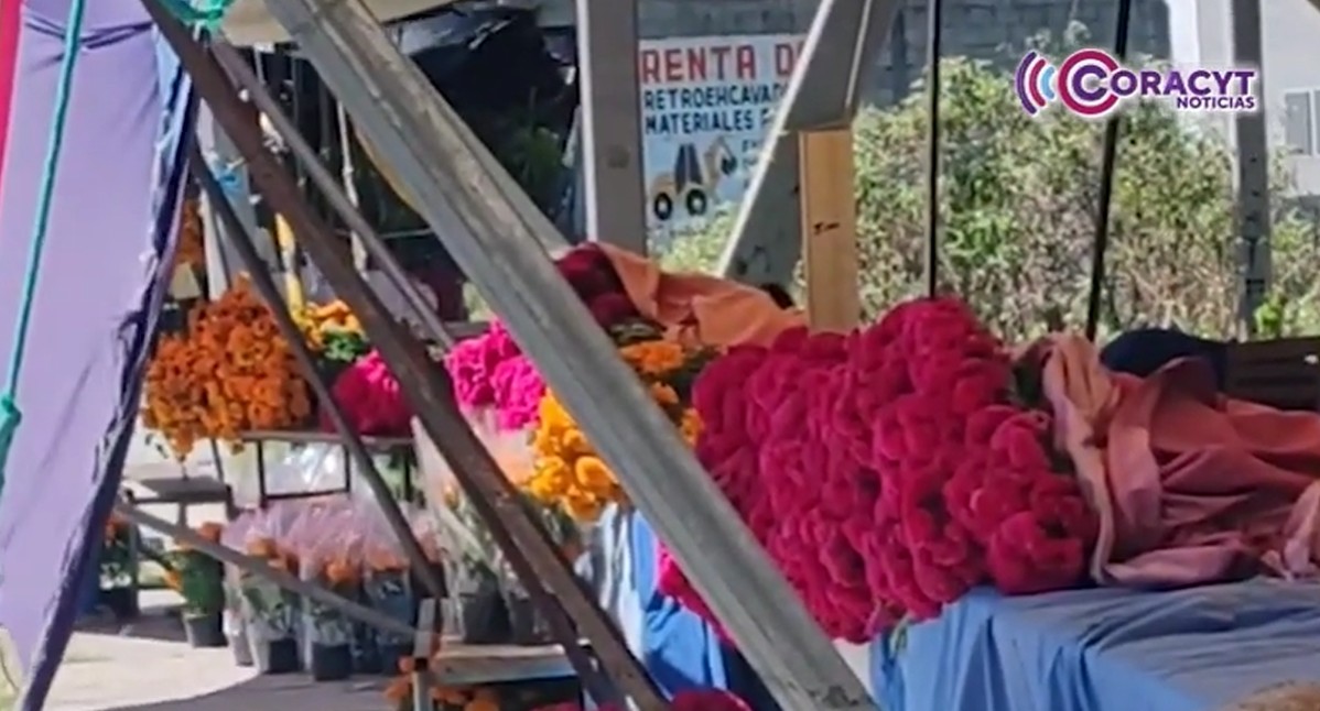 Productores de Tepeyanco ofrecen flores de temporada de alta calidad