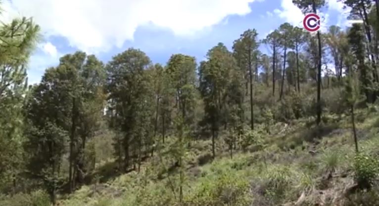 El suelo de La Malinche, clave en la captación de agua 