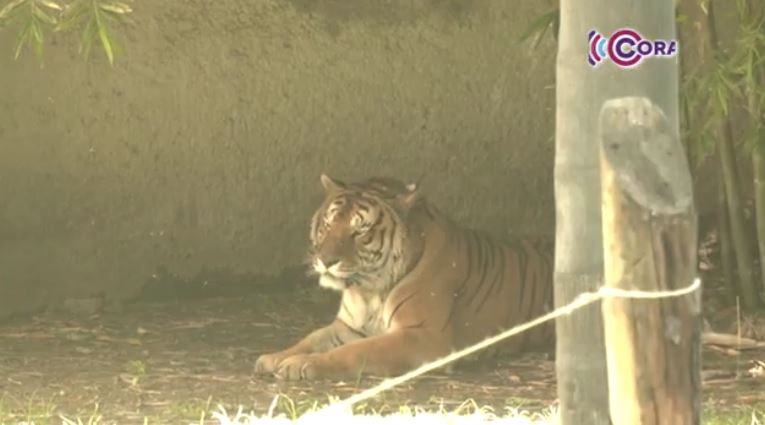 Zoológico del Altiplano garantiza registro y cuidado total de sus especies 