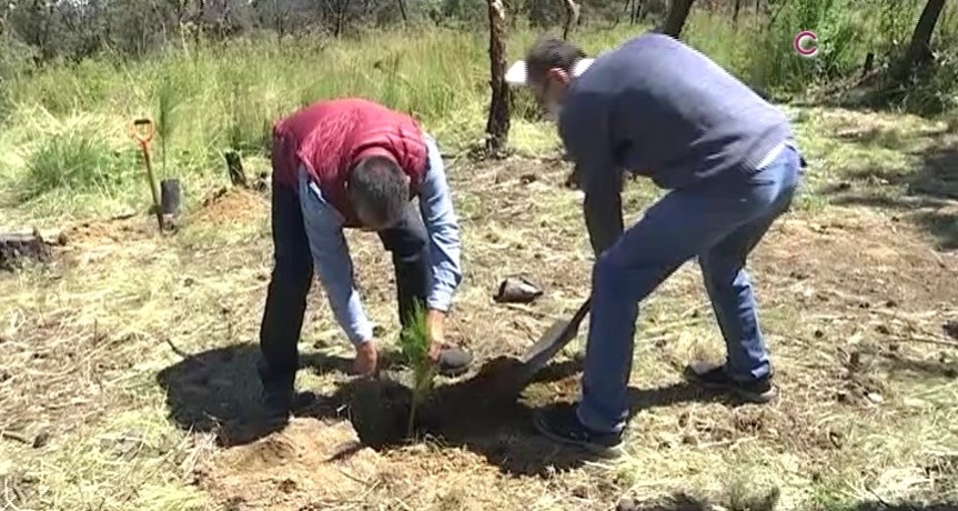 Emprende SMA jornada de reforestación en Atltzayanca tras incendio forestal