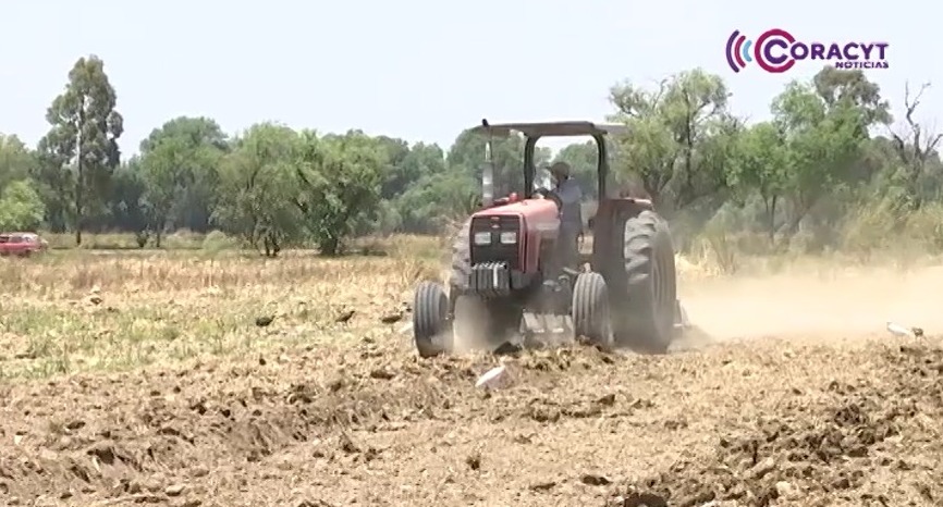 Más de 425 mil productores han sido beneficiados en los últimos cuatro años
