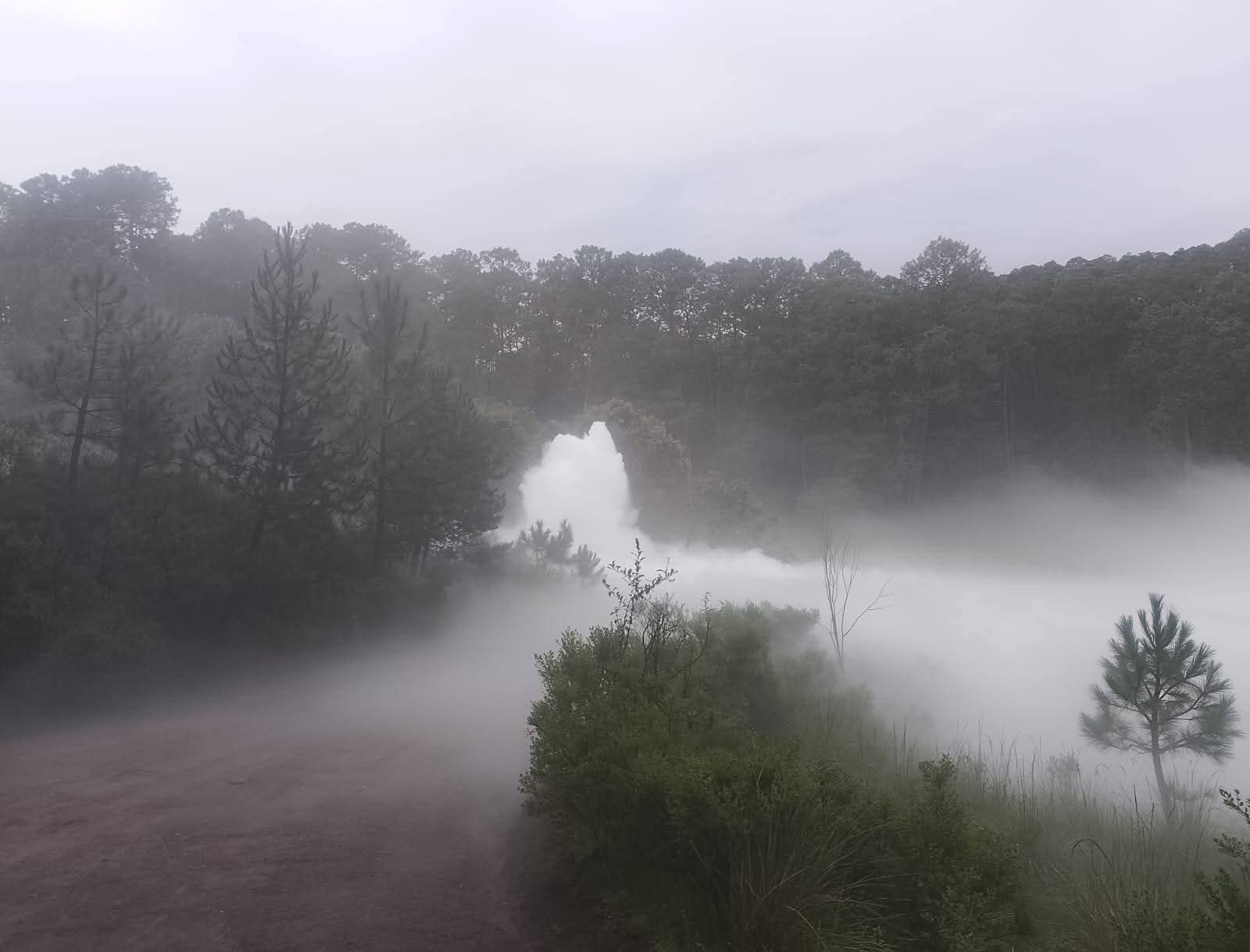 Coordinan autoridades operativo por fuga en Nanacamilpa