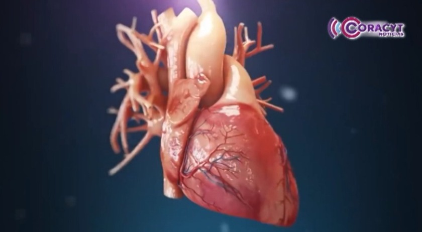 En 2024, mil 924 tlaxcaltecas fallecieron por enfermedades cardiovasculares