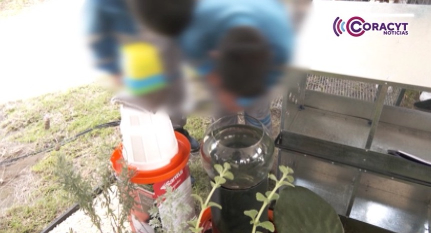 Contribuyen estudiantes de Contla a fortalecer la autosuficiencia alimentaria en su escuela