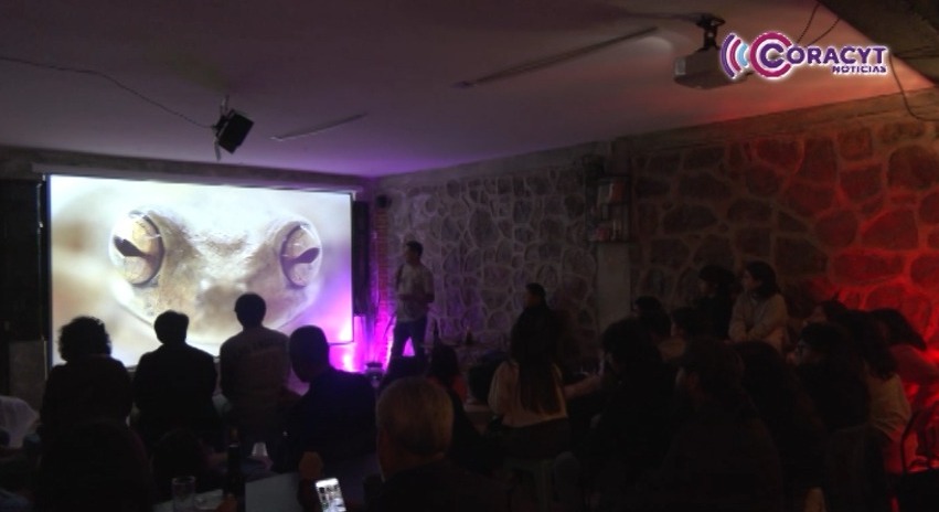 Alberga Tlaxcala 14 especies de anfibios