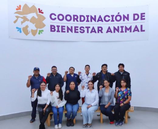 Lesdy Liliana Chávez Cota asume titularidad de la Coordinación de Bienestar Animal