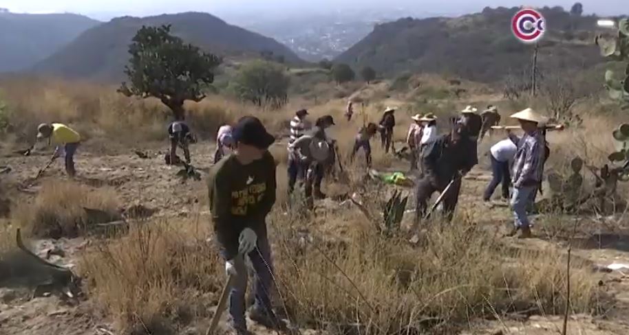 Atltzayanca avanza en la recuperación de áreas afectadas por incendio forestal 