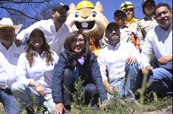 Reforestarán 330 hectáreas en cuatro ejidos de Atltzayanca