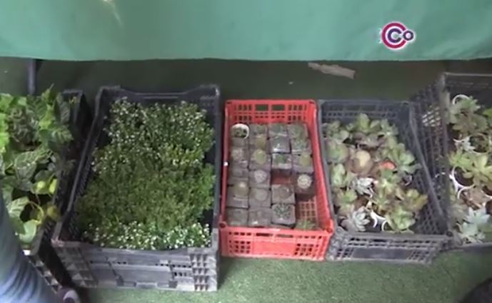 Productores tlaxcaltecas participaron en “Punto México” 