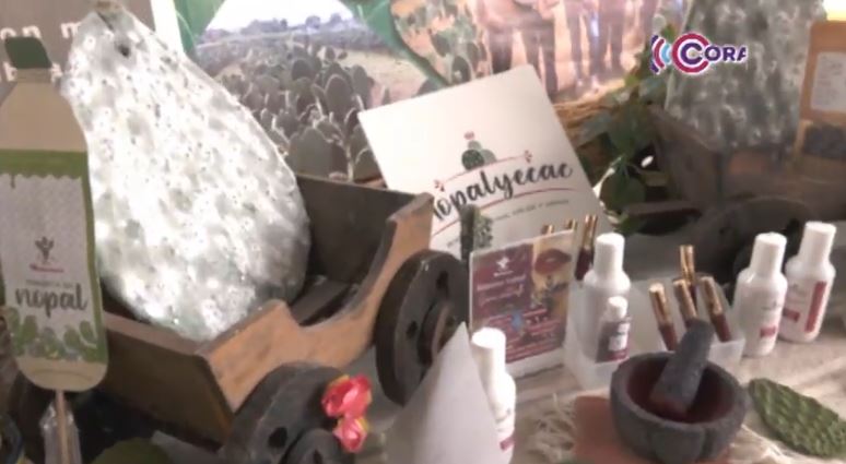 Fortalecen producción agroecológica del nopal en Tlaxcala 