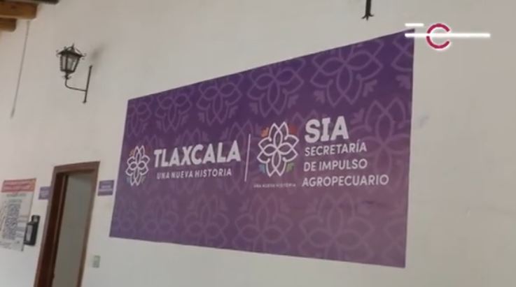 Aproximadamente 7 mil hectáreas podrían registrar afectaciones por lluvias en Tlaxcala: SIA