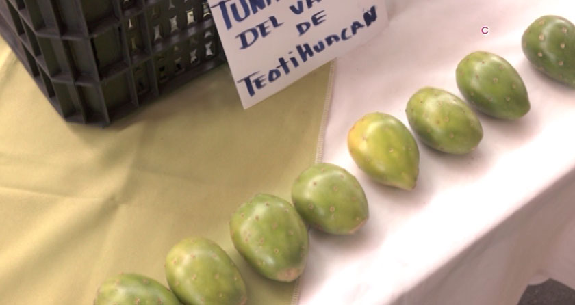 Promueve “Grupo ProNopal” el uso de bioinsumos en cultivos sostenibles