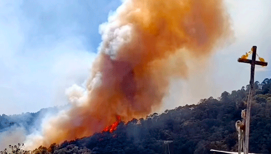 Evacuan a 60 personas de sus casas por incendio forestal en Tlahuiltepa, Hidalgo