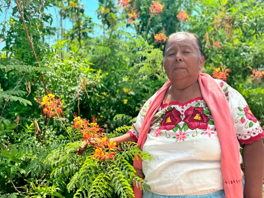 Aprueba Cofepris primer consultorio tradicional indígena en Sonora