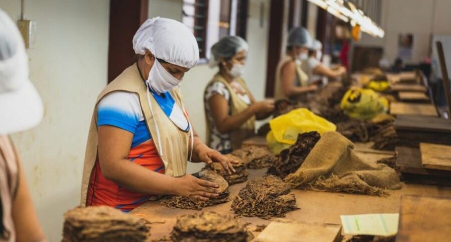 Población Económicamente Activa rompe récord en octubre