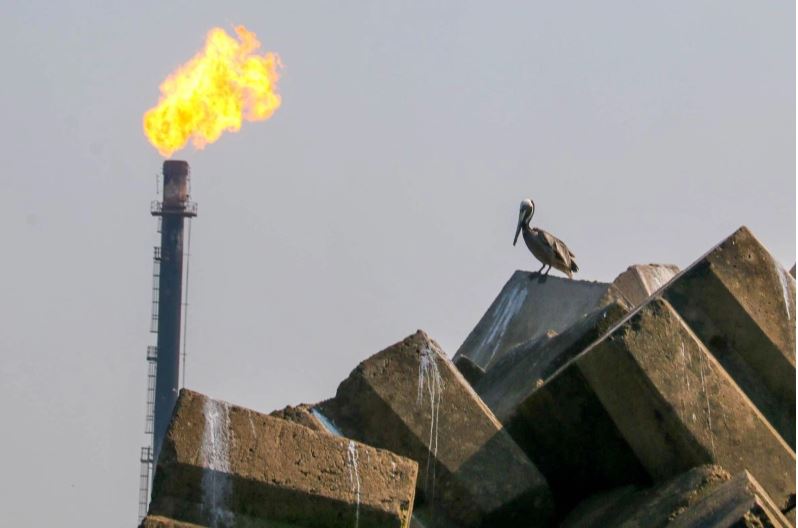 Pemex reporta ganancias por 16 mil mdp en primer semestre y paga a proveedores 230 mmdp