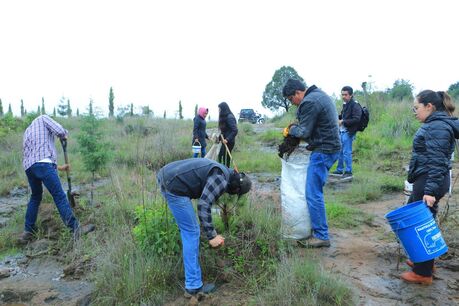 CIGyA-UATx realiza segundo tequio en el Cerro de San Gregorio en San Diego Metepec