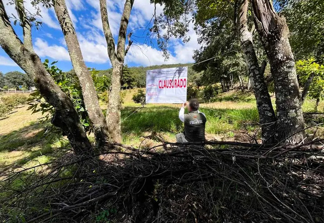Profepa clausura predio dentro de Reserva Mariposa Monarca en Michoacán