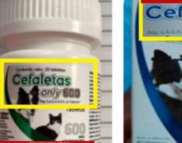 Alerta Sader sobre circulación de medicamento veterinario apócrifo