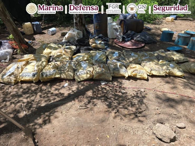 Gabinete decomisa más de 550 kilos de droga; afectan finanzas criminales por más de 707 millones mdp
