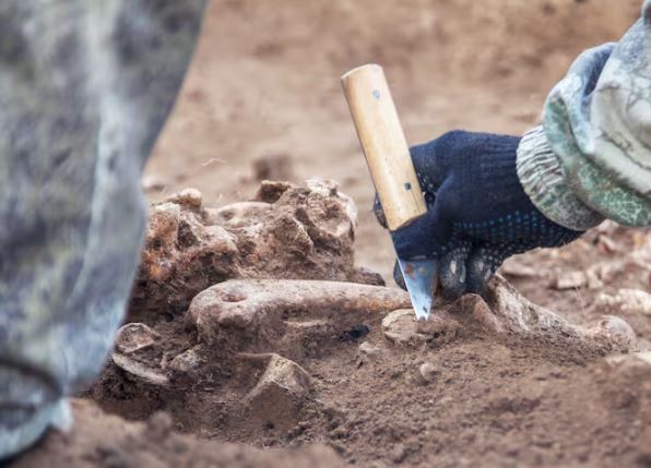 Descubren en Etiopía nueva especie de australopithecus que coexistió con los primeros humanos