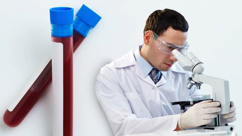 Japón crea sangre artificial compatible con todos los tipos
