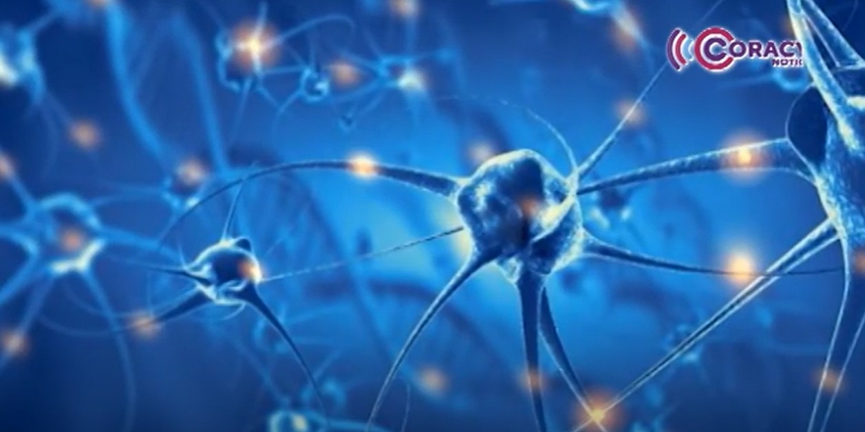 Ofrece HIT IMSS Bienestar tratamientos especializados a infantes con parálisis cerebral