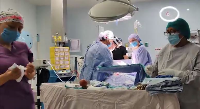 Piden a tlaxcaltecas sumarse a la donación altruista de órganos y tejidos