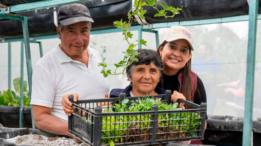 Secretaría de Bienestar impulsa seguridad alimentaria con cultivo de hortalizas para 275 familias