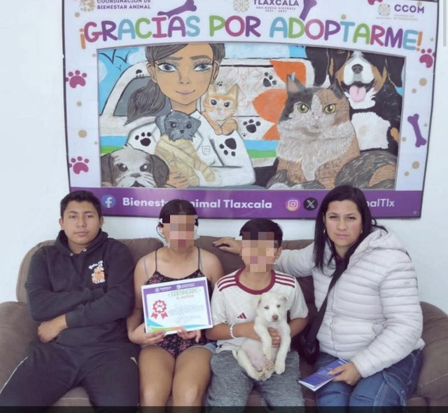 Más de 100 animales de compañía fueron adoptados en primer trimestre del 2026 