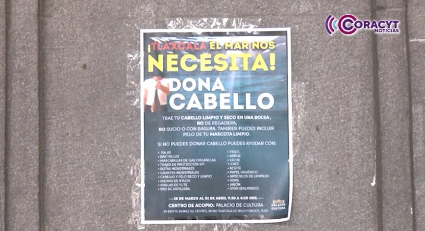Activistas ambientales invitan a donar cabello para limpiar costas de Veracruz