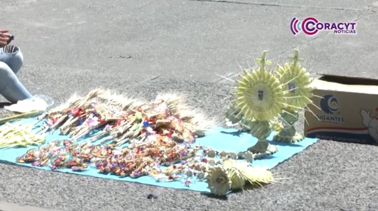 Comenzó la venta de palmas para “Domingo de Ramos”