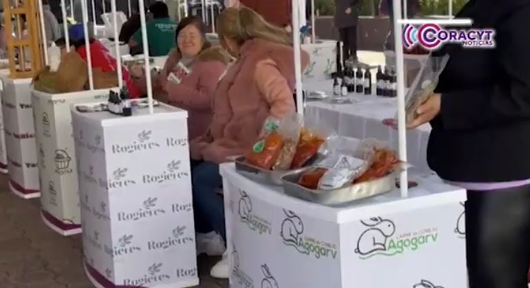 Accede al programa de “Economías Colectivas 2026” 