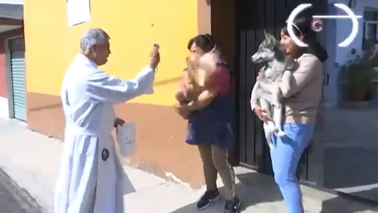Santuario del Señor San José honrará a San Antonio Abad con bendición de animales