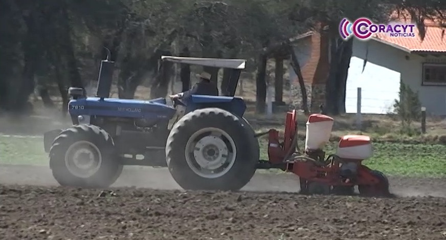 Recurren agricultores tlaxcaltecas a las cabañuelas para planear cultivos