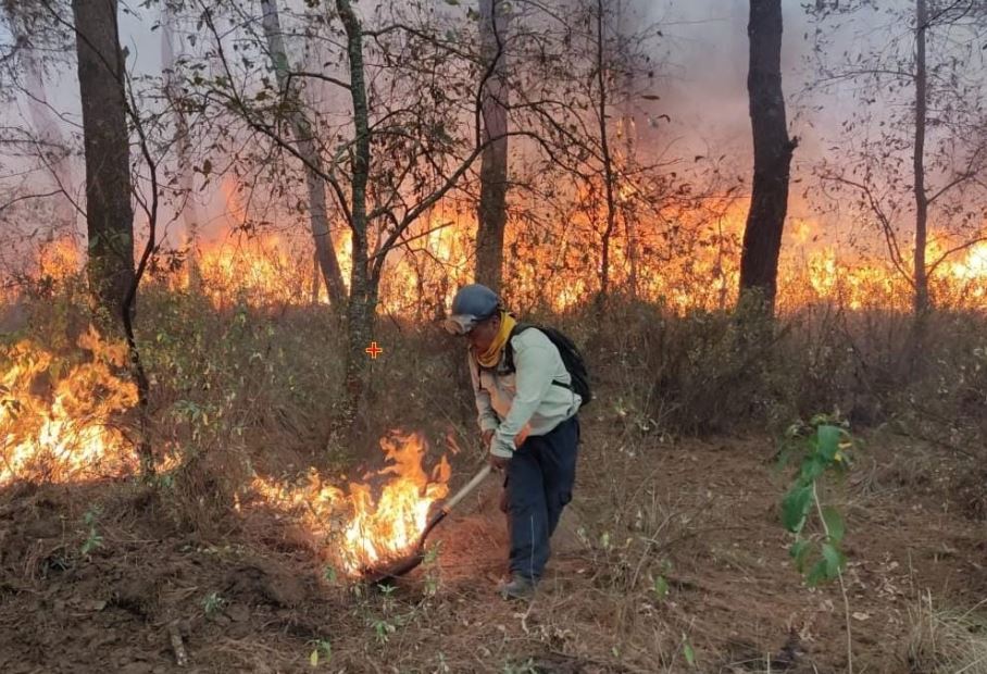 Refuerza Tlaxcala prevención de incendios forestales para proteger comunidades y ecosistemas