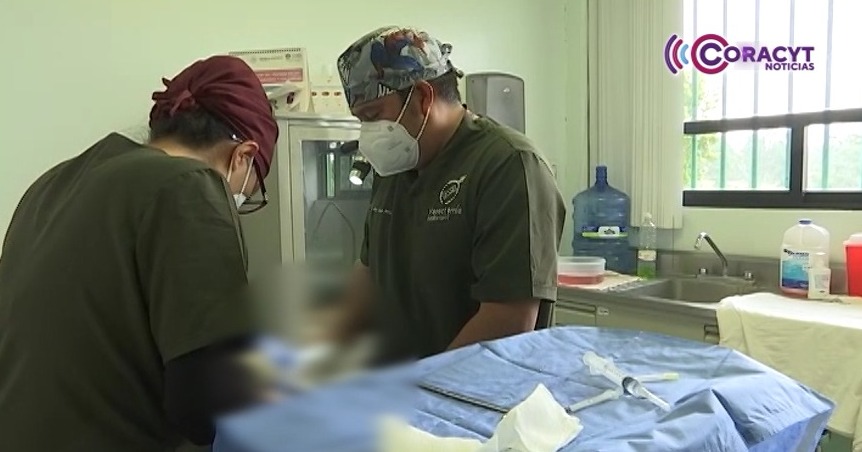 Realizará Issste Tlaxcala su primera jornada de vasectomía el 28 de enero