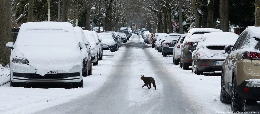 Ola de frío azota Europa y deja cinco fallecidos en Francia