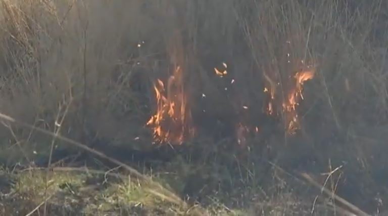 Exhortan a productores a prevenir quemas agrícolas