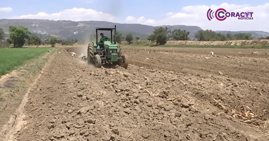 Arranca preparación de tierras para ciclo agrícola 2026