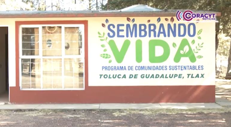 Comunidades agrícolas mejoran sus ingresos con “Sembrando Vida”