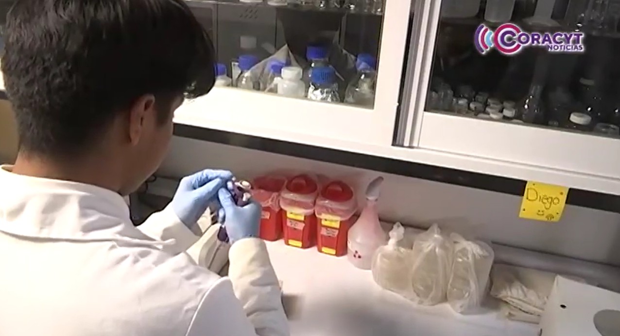 Crean “Áthomo”, espacio de divulgación científica inclusiva