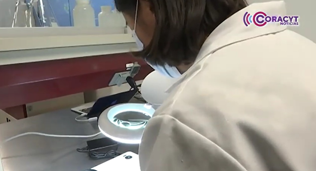 Convocan a la comunidad diversa a participar en el proyecto “Áthomo”