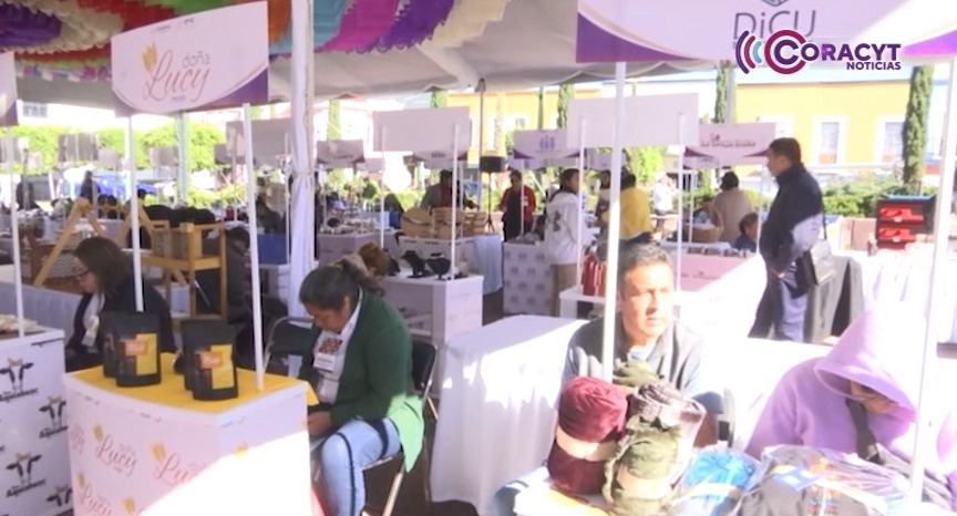 Evalúa STYC proyectos del programa “Economías Colectivas”