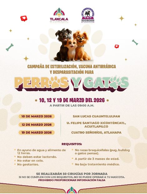 Ayuntamiento de Tlaxcala realizará nueva etapa de esterilización, vacunación y desparacitación canina y felina