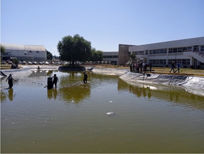 Universidad Politécnica fortalece innovación acuícola con proyecto de tilapia