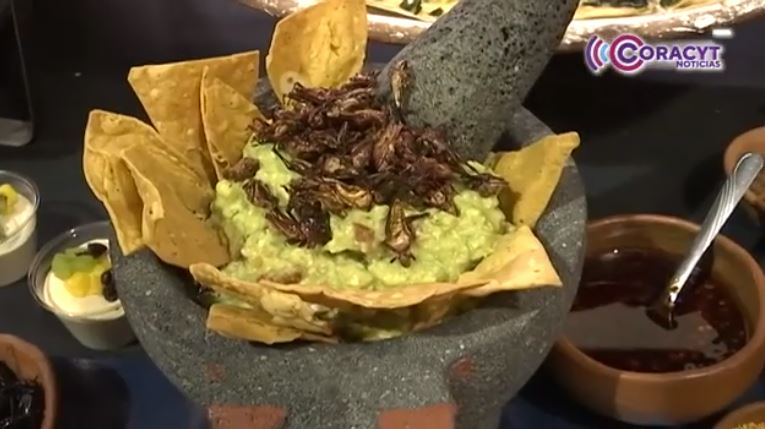 Celebrarán en restaurantes la “Semana de la Cocina Tlaxcalteca” 